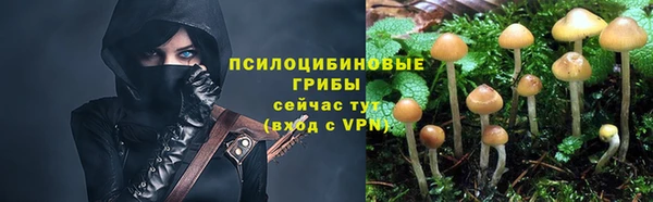 a pvp Аркадак