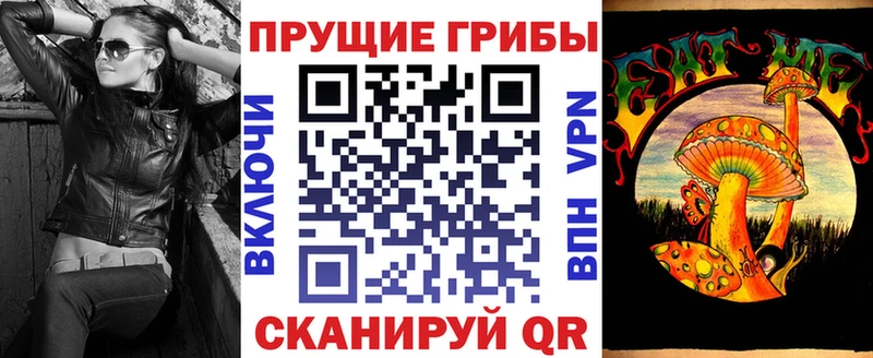 KRAKEN онион  Спасск-Дальний  Галлюциногенные грибы мицелий 